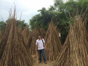 finding-a-factory-bamboo-drying